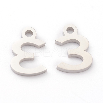 Non-Tarnish 304 Stainless Steel Charms STAS-G244-01E-1