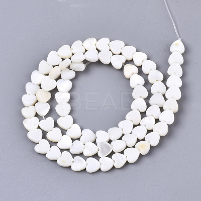 Natural Freshwater Shell Beads Strands X-SHEL-N026-67-1