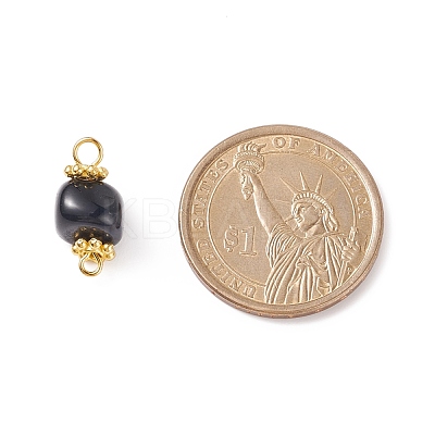 Natural Agate Dyed Beads Link Connectors PALLOY-JF00890-05-1