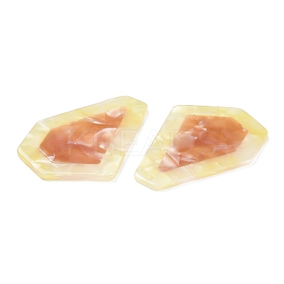 Cellulose Acetate(Resin) Big Pendants RESI-XCP0001-99-1