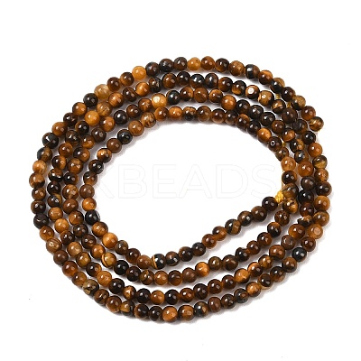 Natural Tiger Eye Beads Strands G-G099-2mm-4-1