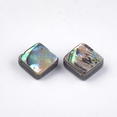 Abalone Shell/Paua Shell Beads SSHEL-T008-02-1
