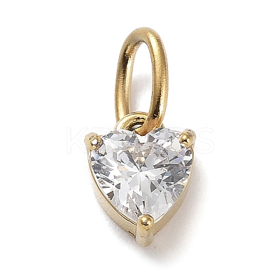 316 Stainless Steel Micro Pave Cubic Zirconia Charms LS-ZIRC-P108-01G-D-1