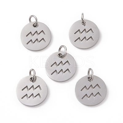 Non-Tarnish 304 Stainless Steel Charms STAS-Q201-T445-11S-1