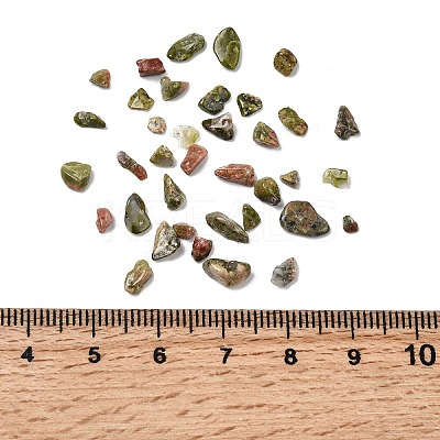 Unakite Chip Beads X-G-O103-14-1