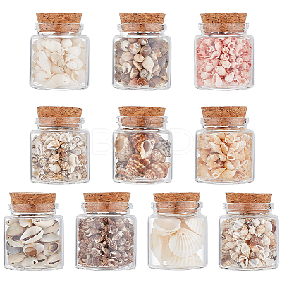 10Pcs Natural Sea Shell Conch Bead & Transparent Glass Bottle Display Decorations AJEW-AB00075-1