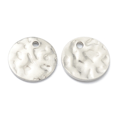 Tarnish Resistant 304 Stainless Steel Charms STAS-H157-03C-P-1