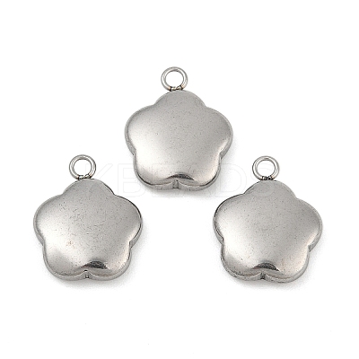 Tarnish Resistant 304 Stainless Steel Charms LS-STAS-K002-33A2-1