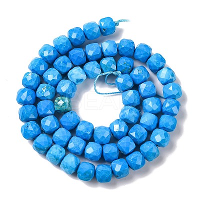 Natural Howlite Beads Strands G-G001-B03-04-1