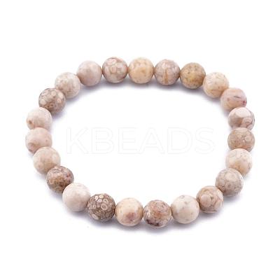 Natural Maifanite/Maifan Stone Bead Stretch Bracelets BJEW-K212-A-044-1