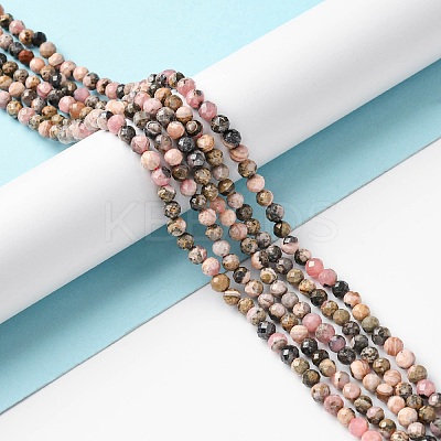 Natural Argentina Rhodonite Beads Strands LS-G-M399-01B-1