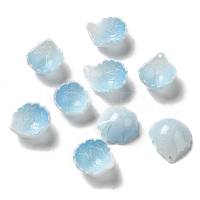 Acrylic Charms SACR-C002-25-1