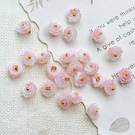 Two Tone Transparent Resin Charms LS-RESI-CJC0023-19D-1