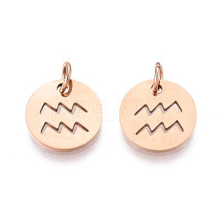 304 Stainless Steel Charms STAS-Q201-T445-11R-1