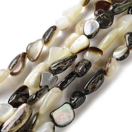 Natural Black Lip Shell Beads Strands SHEL-G020-04-1