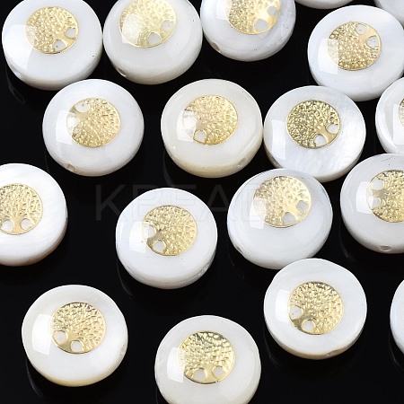 Freshwater Shell Beads SHEL-T018-20-1