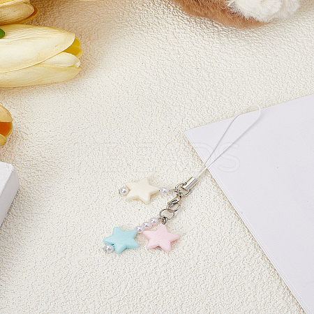 1Pc Resin with Alloy and Nylon Cord Mobile Accessories Decoration HJEW-LP0002-12A-1