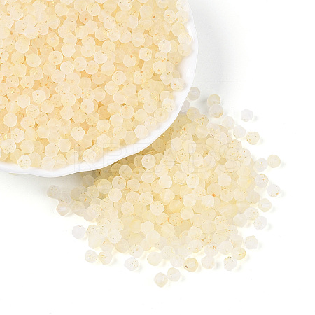 Frosted Glass Seed Beads SEED-N012-01F-1