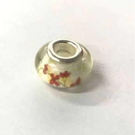 Plastics European Beads KY-WH0026-70F-1