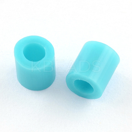 PE DIY Melty Beads Fuse Beads Refills X-DIY-R013-10mm-A27-1