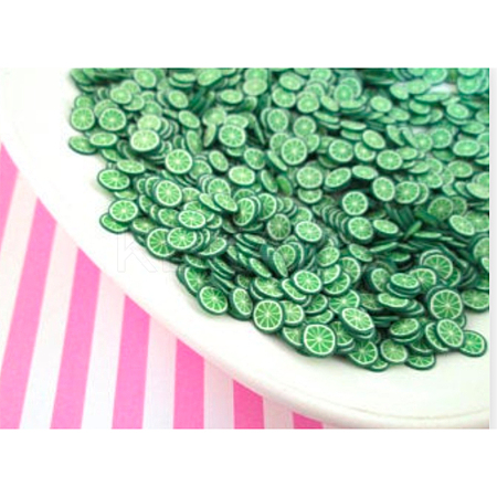 Handmade Polymer Clay Cabochons CLAY-N002-02U-1