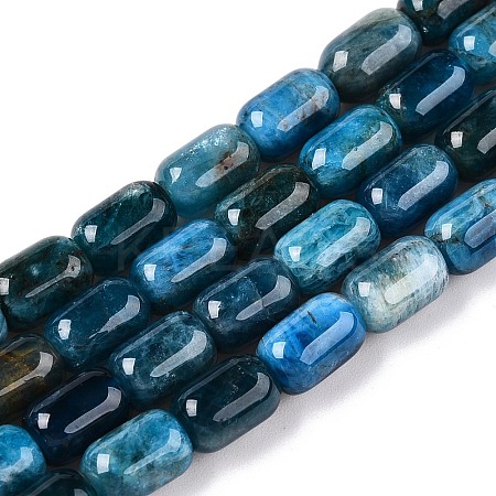 Natural Apatite Beads Strands G-G980-51A-1