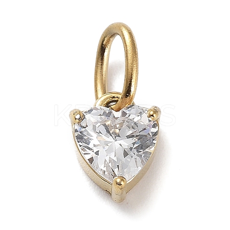 316 Stainless Steel Micro Pave Cubic Zirconia Charms LS-ZIRC-P108-01G-D-1