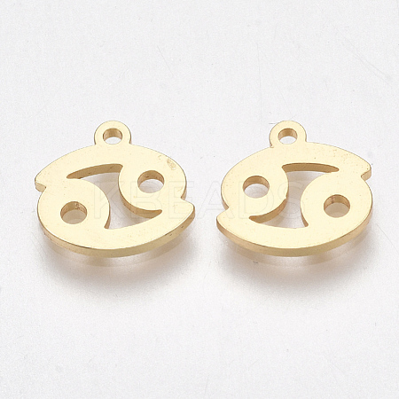 Ion Plating(IP) 304 Stainless Steel Charms STAS-S107-06J-1