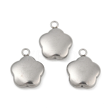 Tarnish Resistant 304 Stainless Steel Charms LS-STAS-K002-33A2-1