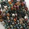 Natural Indian Agate Beads Strands G-K395-B12-02-1