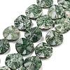 Natural Green Spot Jasper Beads Strands G-Z061-B08-02-1