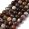 Natural Mexico Crazy Agate Beads Strands X-G-L615-A01-01-3