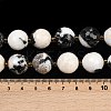 Natural Zebra Jasper Beads Strands G-C249-A15-16mm-6