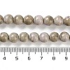 Natural Rainbow Alashan Agate Beads Strands G-NH0022-A09-02-5