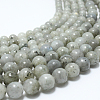 Natural Labradorite Beads Strands G-I199-15-6mm-2