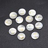 Shell Cabochons SSHEL-E568-A01-2