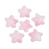 Imitation Candy Food Style Resin Cabochons X1-RESI-R461-02K-1