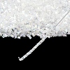 Glass Seed Beads CSDBTC01-2