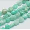 Natural Amazonite Beads Strands G-E483-50-1