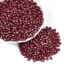 Baking Paint Pearlized Glass Seed Beads SEED-T007-21A-09-3