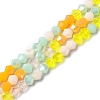 Electroplate Glass Beads Strands X1-EGLA-D018-02D-1