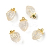 Transparent Glass Pendants GLAA-P072-03G-10-1