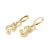Brass Clear Cubic Zirconia Hoop Earrings EJEW-M045-01C-2