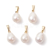 Natural Cultured Freshwater Pearl Pendants PALLOY-JF04963-1