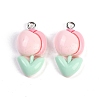 Resin Pendants RESI-I061-04A-1