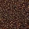TOHO Round Seed Beads SEED-JPTR08-2152S-2