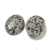 Natural Dalmatian Jasper Cabochons G-C115-01B-10-2