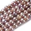 Natural Cultured Freshwater Pearl Beads Strands PEAR-E018-18-1