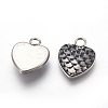 304 Stainless Steel Pendants STAS-F184-B09-2