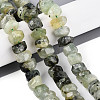 Natural Prehnite Beads Strands G-N347-17A-04-1